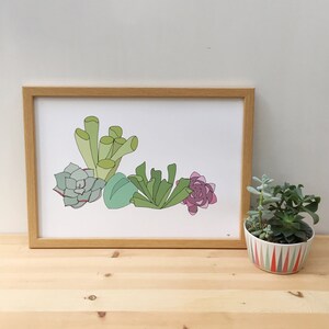 Succulent print - succulent wall art - home gift - plant print - plant art - succulent art