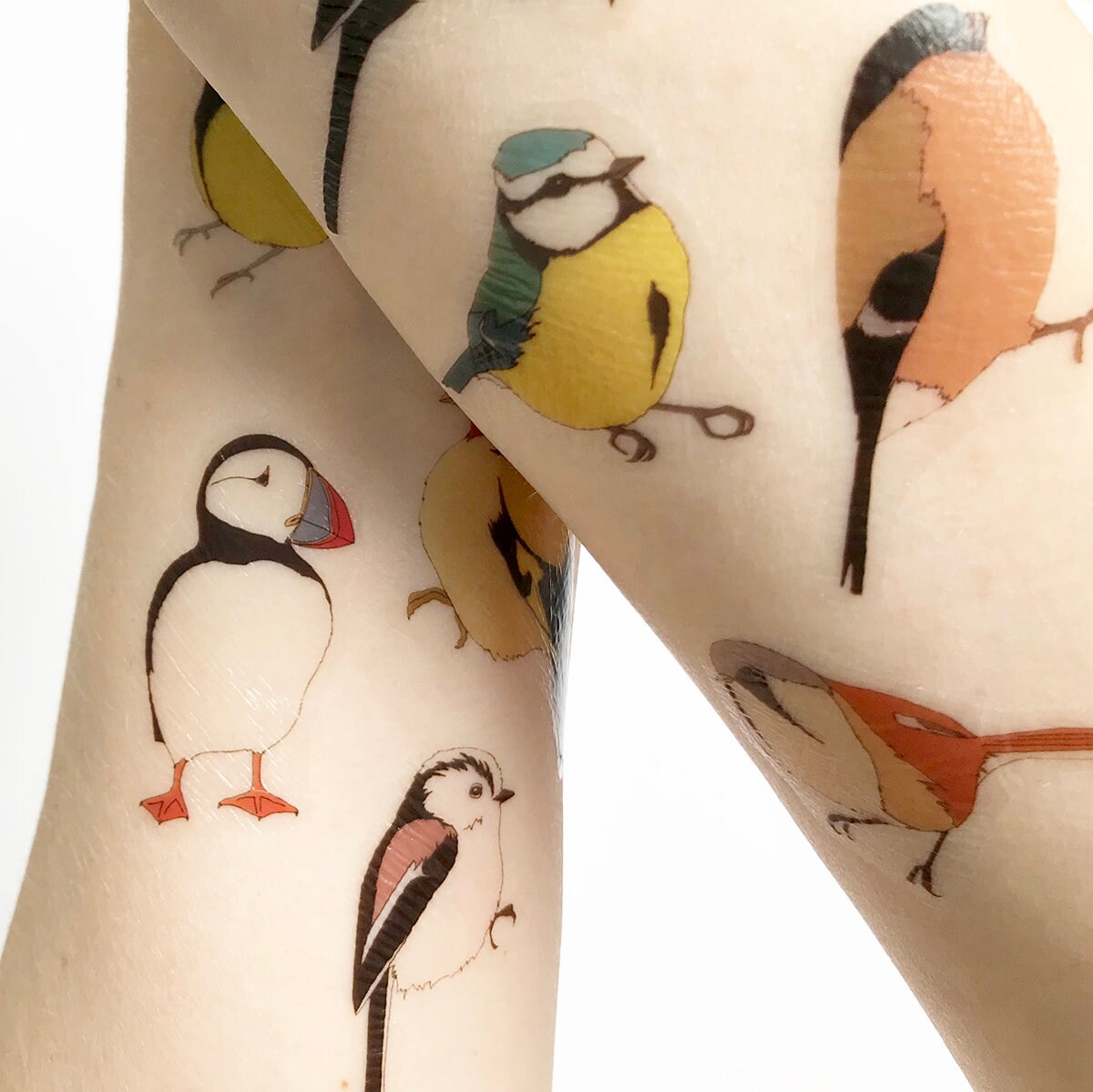 Bird temporary tattoos 9 birds realistic illustrated fake Etsy
