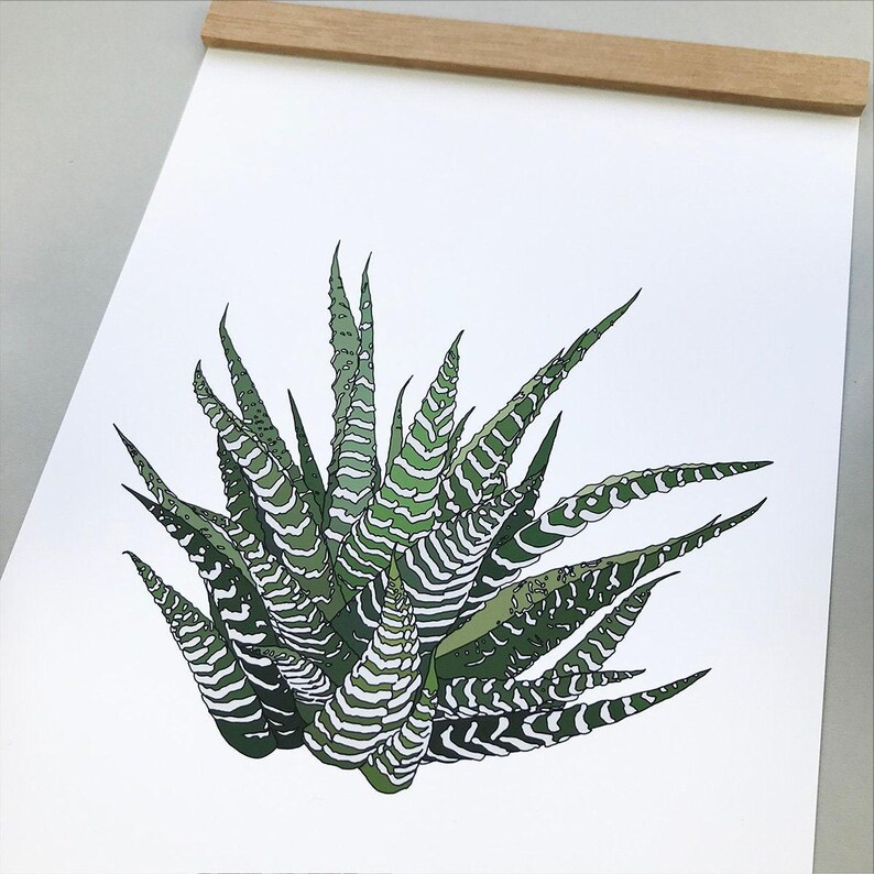Howarthia zebra plant print, original houseplant wall decor bild 9