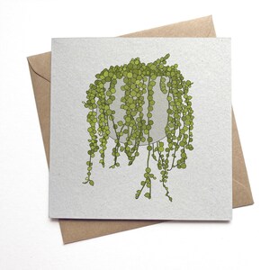 May include: A square greeting card featuring a green illustration of a string of pearls plant in a gray pot. The plant has long, cascading strands of small, round leaves. The card is on a brown envelope.