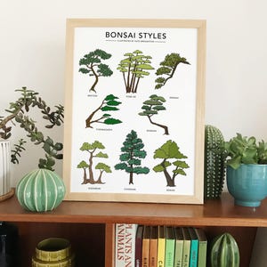 Bonsai Styles illustrated print - botanical tree poster - Japanese bonsai gift - wall art home decor