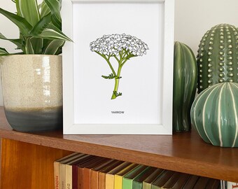 Yarrow illustrated wildflower print - small A5 print - botanical illustration