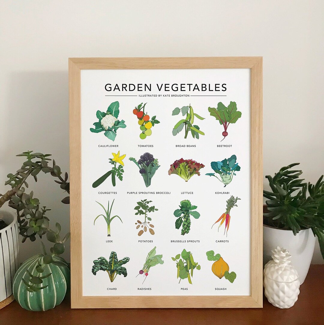 Illustrated 'garden Vegetables' Print Etsy
