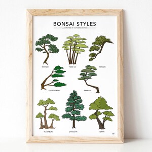 Bonsai Styles illustrated print botanical tree poster Japanese bonsai gift wall art home decor image 7