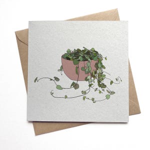 May include: A square greeting card featuring a line drawing of a string of hearts plant in a pink pot. The plant has green heart-shaped leaves and long trailing vines. The card is on a textured, light gray background, with a brown envelope behind it.