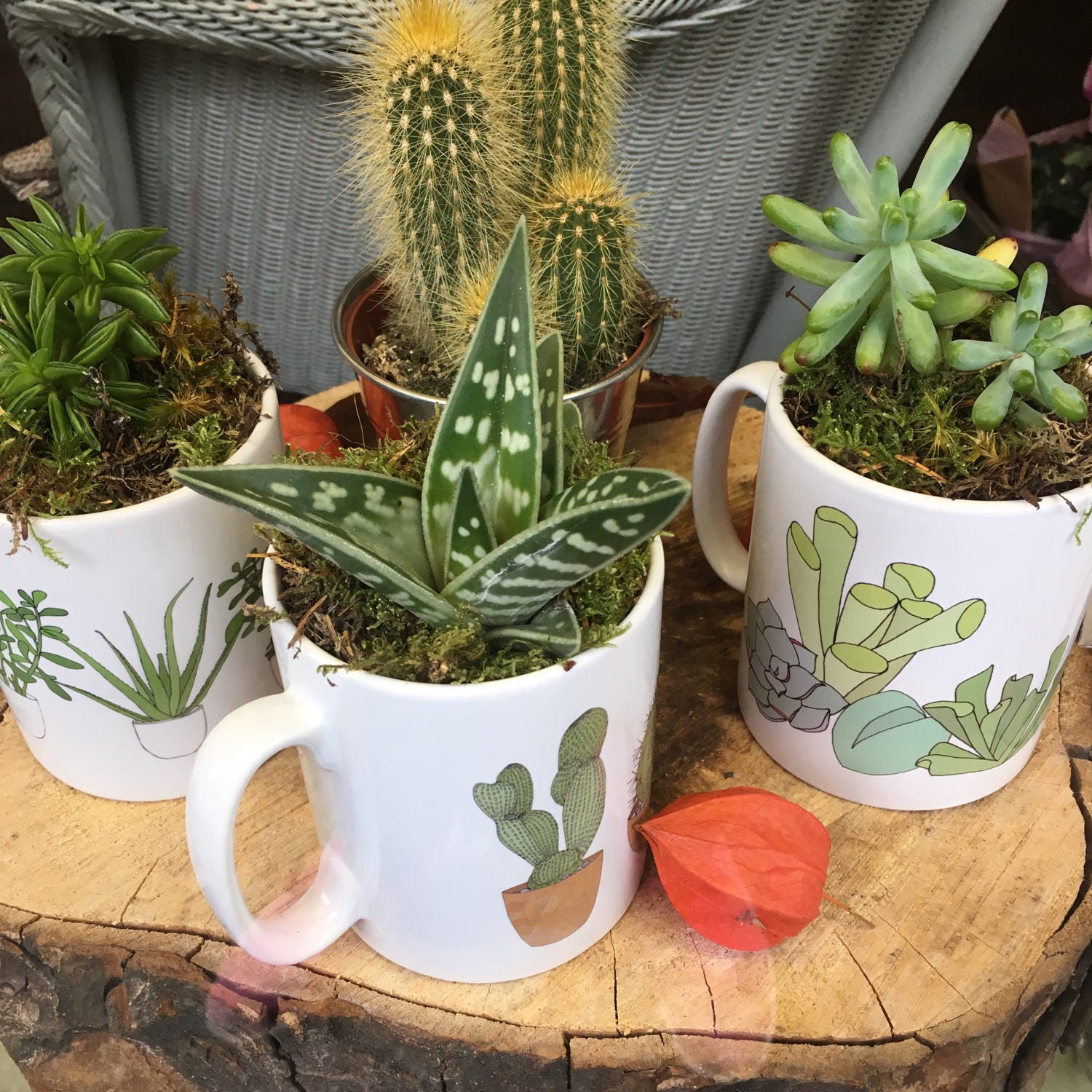 Cactus Mug Cactus Print Mug New Home Gift Cactus Gift Etsy UK