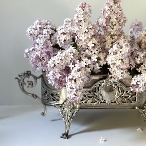 Antique Art Nouveau Silver Plated Jardinière Planter | Topazio Portugal