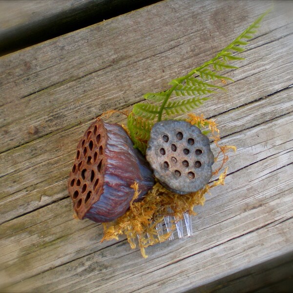 Lotus Pod forest comb