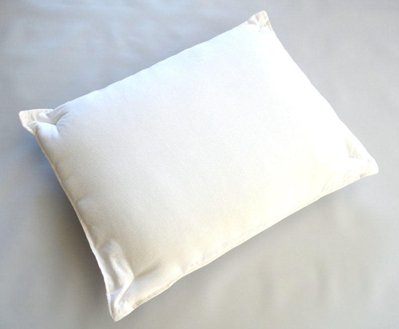 May include: A white pillow with a plain, smooth surface and a white fabric cover. The pillow is rectangular and has a slightly rounded shape.