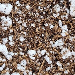 May include: Close-up of a soil mixture, showing a blend of brown, fibrous material, possibly peat moss, and white, porous, irregularly shaped pieces, likely perlite. The texture suggests a growing medium for plants.
