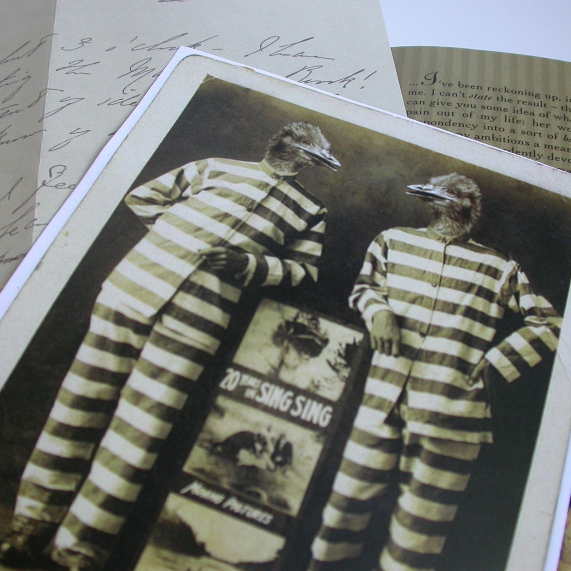 Jail Birds 5x7 Print Etsy