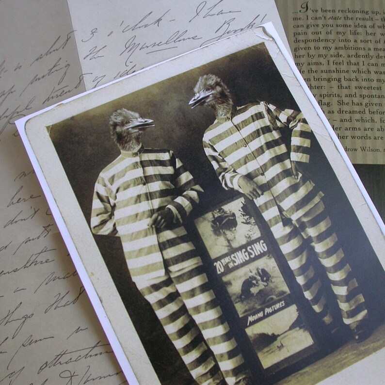 Jail Birds 5x7 print | Etsy