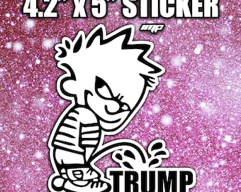 Anti-Trump, Sticker politique drôle, Autocollant pour voiture Génération Z, Cadeau d'autocollant gauchiste, Sticker Trump drôle, Sticker pour voiture drôle Élection 2024