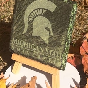 Michigan State Spartans Coasters-Set of 4
