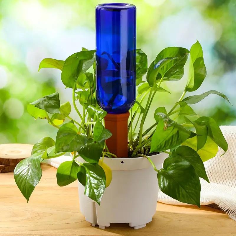 Olla - Self Watering Plant Stakes