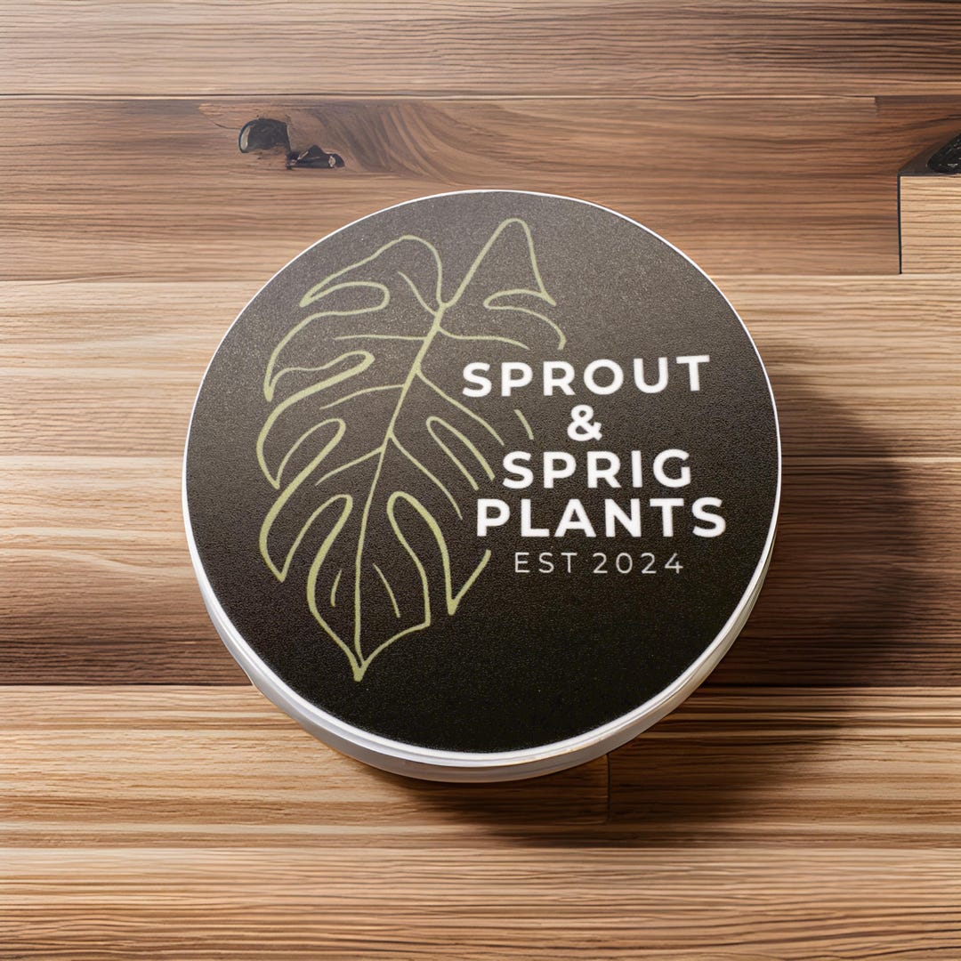 Sticker - Sprout and Sprig 3