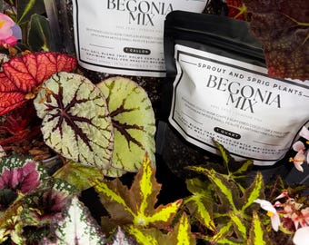 Begonia Potting Mix | Moisture-Balanced Tropical Soil