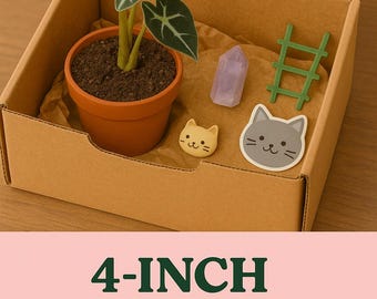4&quot; Mystery Plant Box – A Surprise in Every Pot