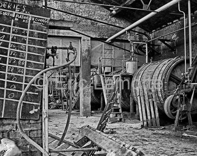 Les foulons de teinture . Tannerie Cara