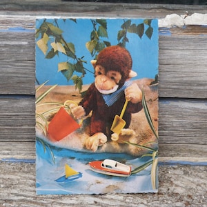 Carte postale photographie Singes à table