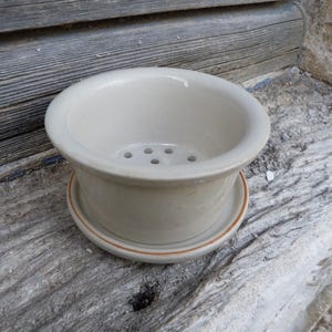 May include: A cream-colored ceramic tea strainer with a matching saucer. The strainer has a bowl shape with several drainage holes and sits atop a small, round saucer with a thin, brown rim. The set is designed for steeping loose leaf tea.