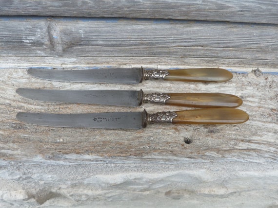 12 couteaux anciens Art déco corne et acier inoxydable en écrin