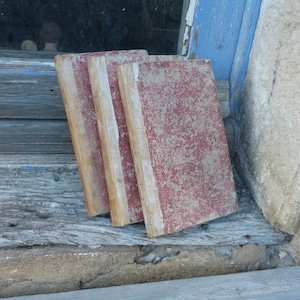 Può includere: Tre libri antichi rilegati con copertine rosse e dorsi marroni. I libri sono impilati uno sopra l'altro e sono su una superficie di legno.