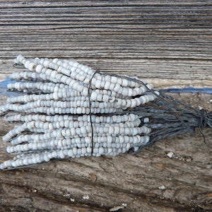 Vintage Antique old French 1900/1950 beaded leaves white mat and sheer set of 10