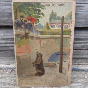 Vintage alte französische antike 1900er Jahre Chromolithograph Bild von Chocolate Guerin Boutron Bär im Vincennes Zoo