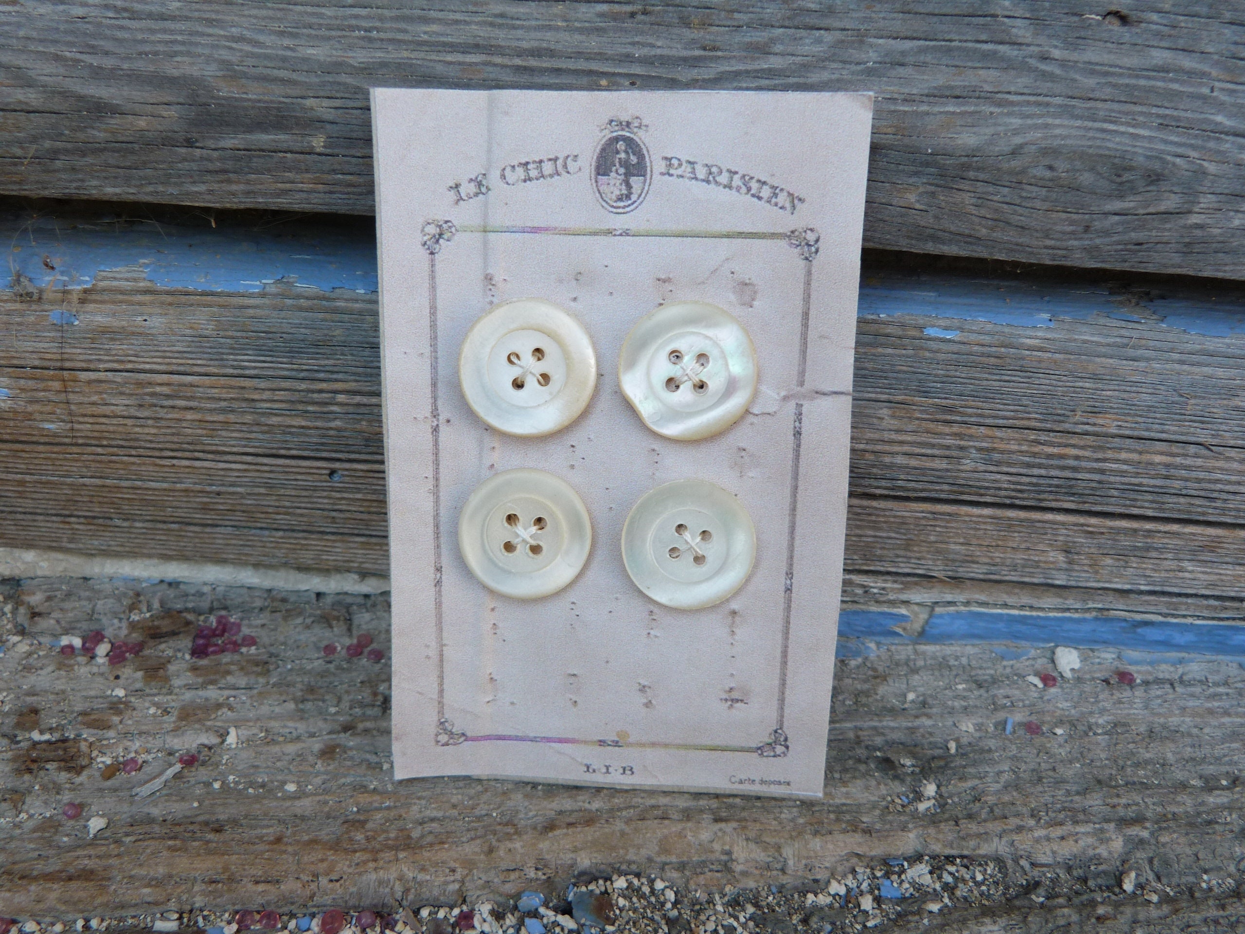 新品★シェリエ　sheller ／ antique button culotte Antique Celluloid Buttons - Etsy