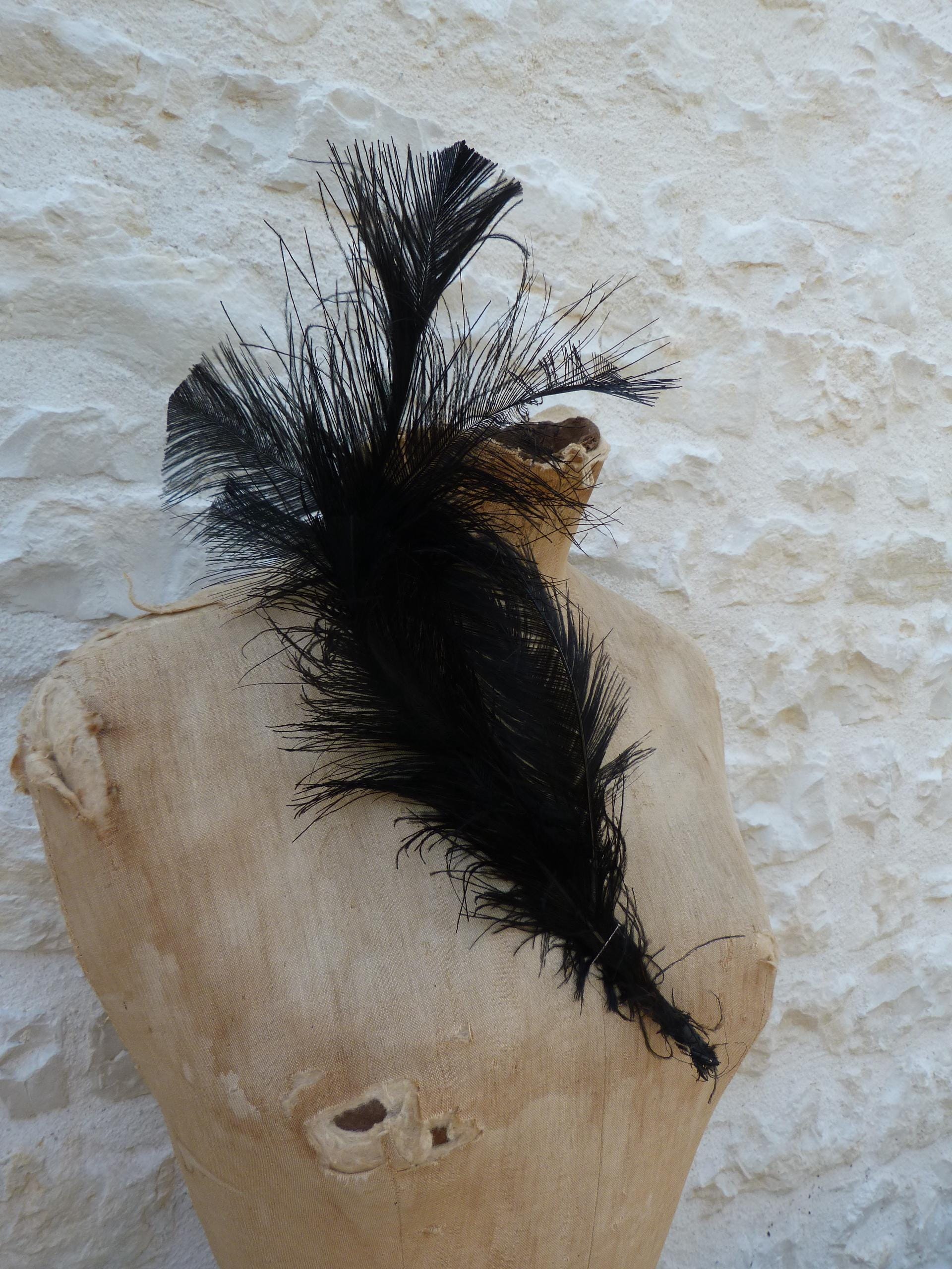 Vintage Victoria Modes for Merrimac Black Wool High Tilt Ostrich Feather… Ostrich Feather Cape | Nicole+Felicia main image 3