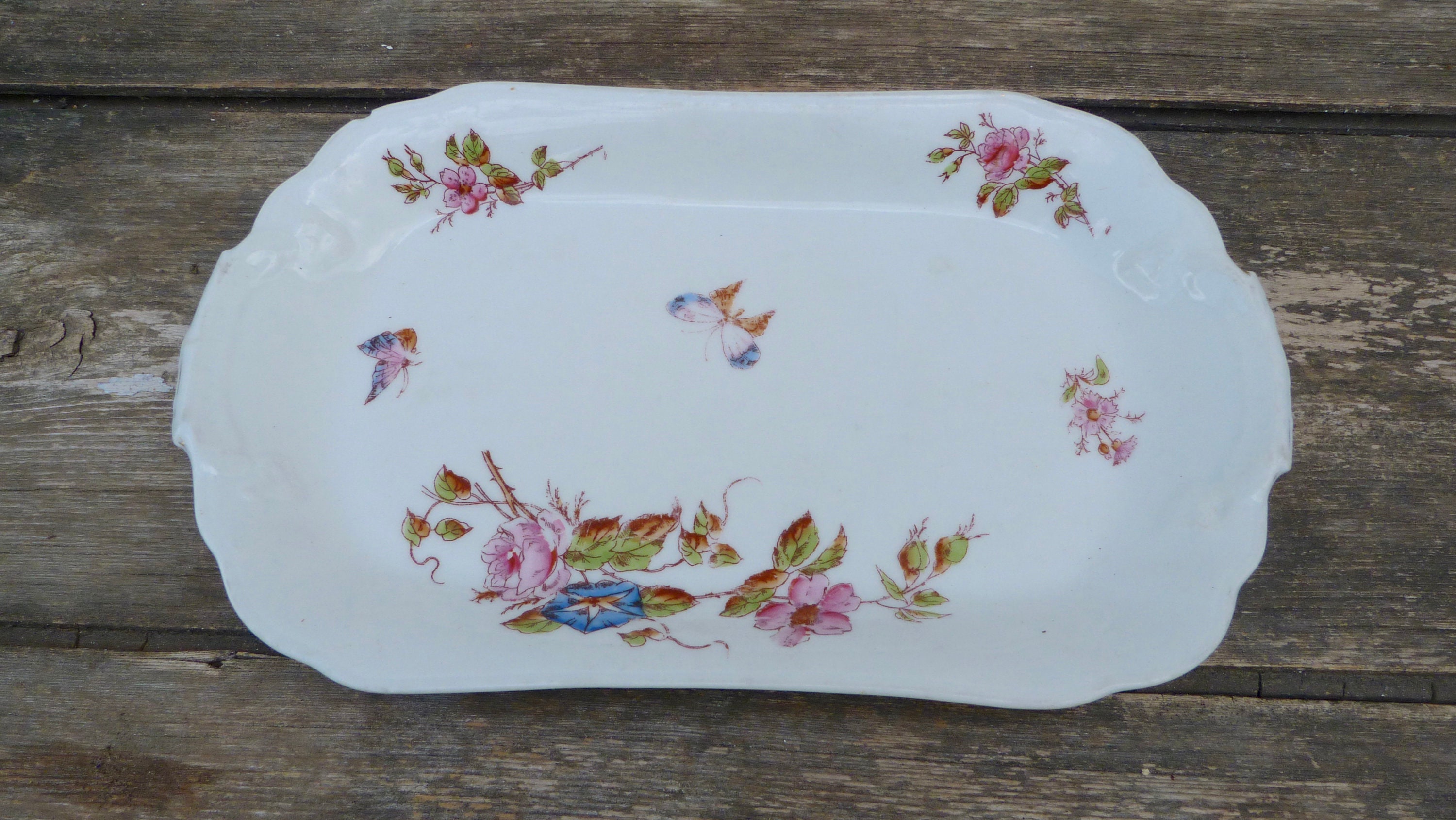 Plat Ancien Du Xixeme Charles Pillivuyt Mehun France Fleurs et Papillons