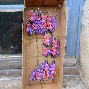 Lote antiguo de piezas de flores para sombreros en cartón original procedente de una antigua tienda de artículos de sombreros de París
