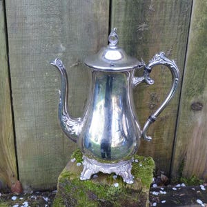 Op de afbeelding: Een zilveren theepot met een decoratief handvat en een deksel. De theepot staat op een mossig oppervlak.