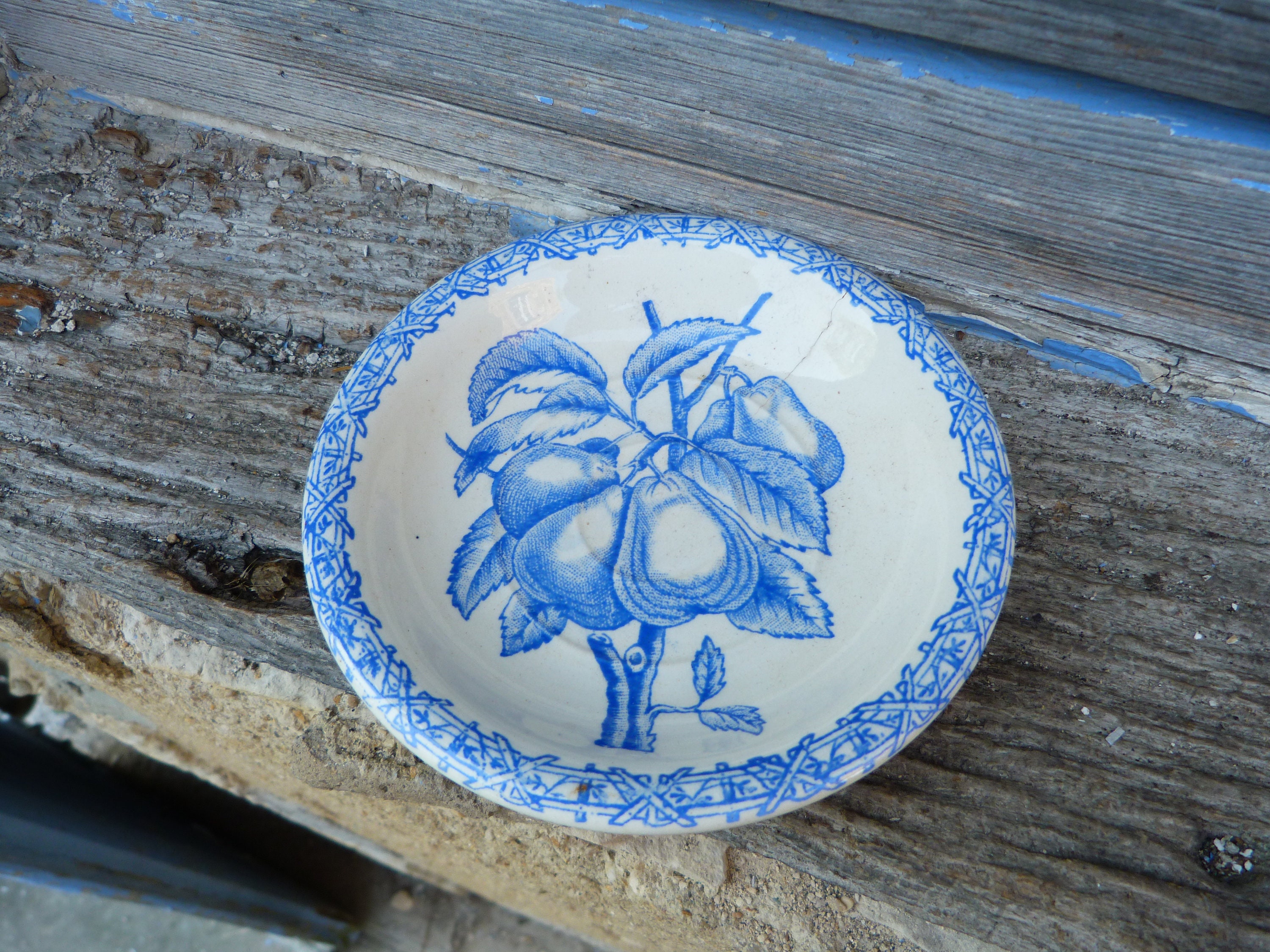 Ancienne Assiette à Savon 1900 Terre de Fer Choisy Le Roi Motif Poires Bleus