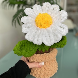 Gehäkelte Daisy Blumentopf-Muster, anfängerfreundlich (PDF-Muster), Frühlings-Wohnkultur, Pflanzen-Häkelanleitung