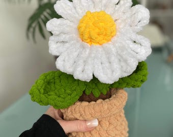 Crochet Daisy Flower Pot Pattern, Beginner Friendly (PDF Pattern), Spring Home Decor, Plant Crochet Pattern