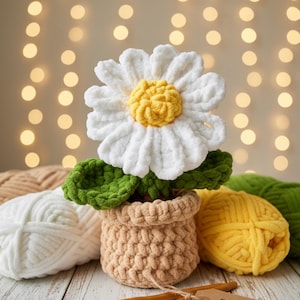 Patrón de maceta de margaritas a crochet, ideal para principiantes (patrón PDF), decoración primaveral para el hogar, patrón de plantas a crochet