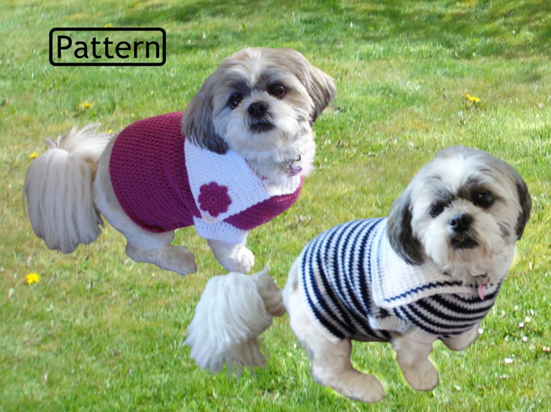 Crochet Pattern Crochet Dog Outfit Pattern Dog Pattern Dog Jumper Pattern Dog Sweater Pattern 4 Sizes CP247 image 1