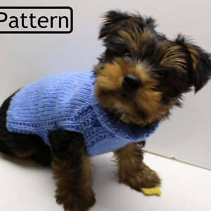 Könnte beinhalten: Ein kleiner, brauner und schwarzer Hund, der einen hellblauen Strickpullover trägt. Der Pullover hat einen Rollkragen und ein schlichtes Design.