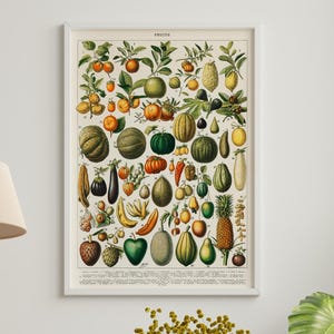 Vintage Fruit Print Adolphe Millot Art - Botanical Wall Art, Antique Fruit Poster, Retro Kitchen Decor, Farmhouse & Cafe Wall Art