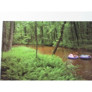 Etowah River Lumpkin County GA Carte postale millésime 52038 Géorgie