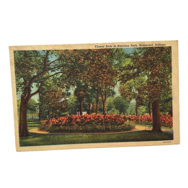 Vintage Postcard Flower Beds Harrison Park Hammond Indiana IN 22073