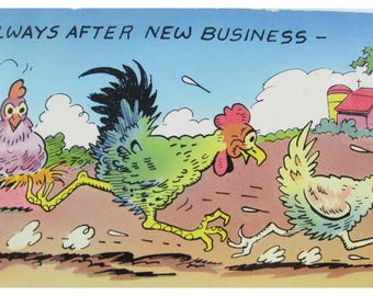 Vintage Postcard  Always After New Business Rooster Hen Chickens 30955
