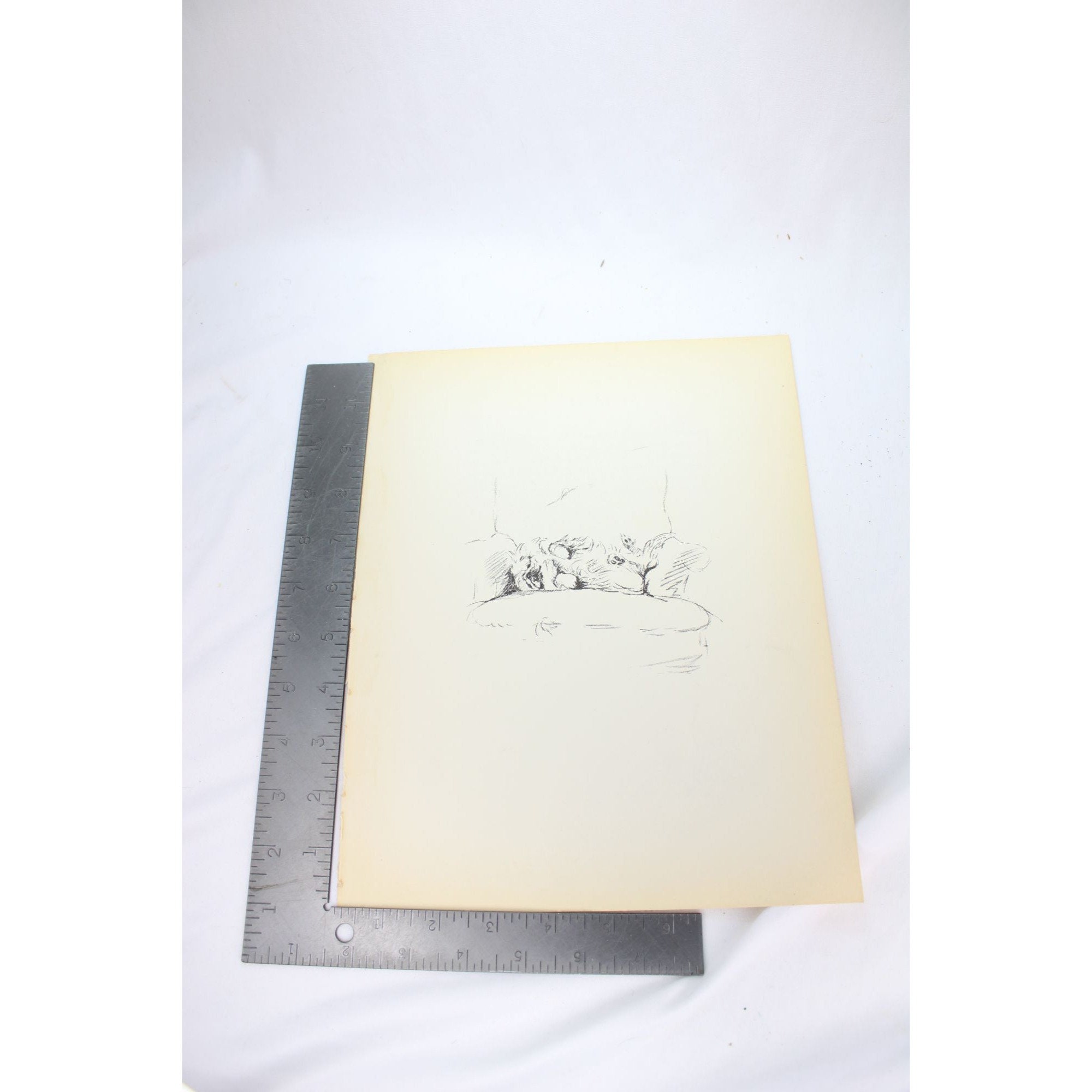 Lucy Dawson 1937 Springer Spaniel Pekingese Print Vintage 90484 Jane ...