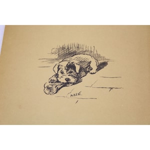 Lucy Dawson 1937 Sealyham Dog Print Vintage 90518 Albert Algerian Sheep Dog