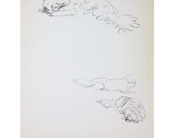 Lucy Dawson 1937 Pekingese Dog Print Vintage 90502 George