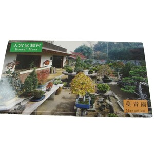 8 POSTCARDS Bonsai Mura Mansei en Japan Tokyo 32328