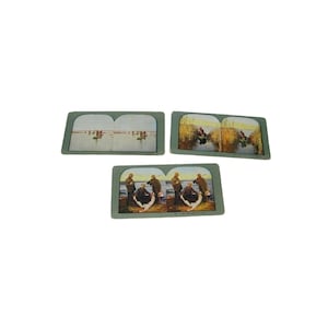 3 vintage Stereograph stereoview photo view tarjetas Duck Hunting 18141