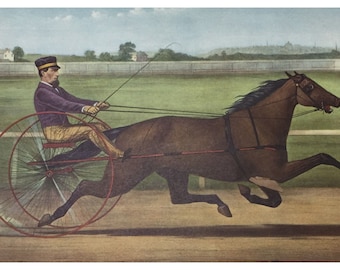 Mr Bonners Horse Joe Elliot guidato da J Bowen CURRIER & IVES VINTAGE Stampa 23809
